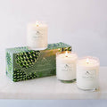 Roland Pine 2.2 oz Votive Glass Soy Candle Set