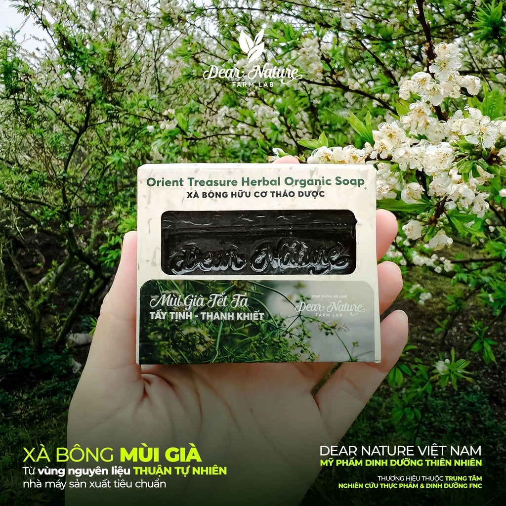Dear Nature Orient Treasure Herbal Organic Soap Tet Scent – natural coriander herbal soap from Vietnam, handmade with coconut oil and green tea, for refreshing and purifying skin