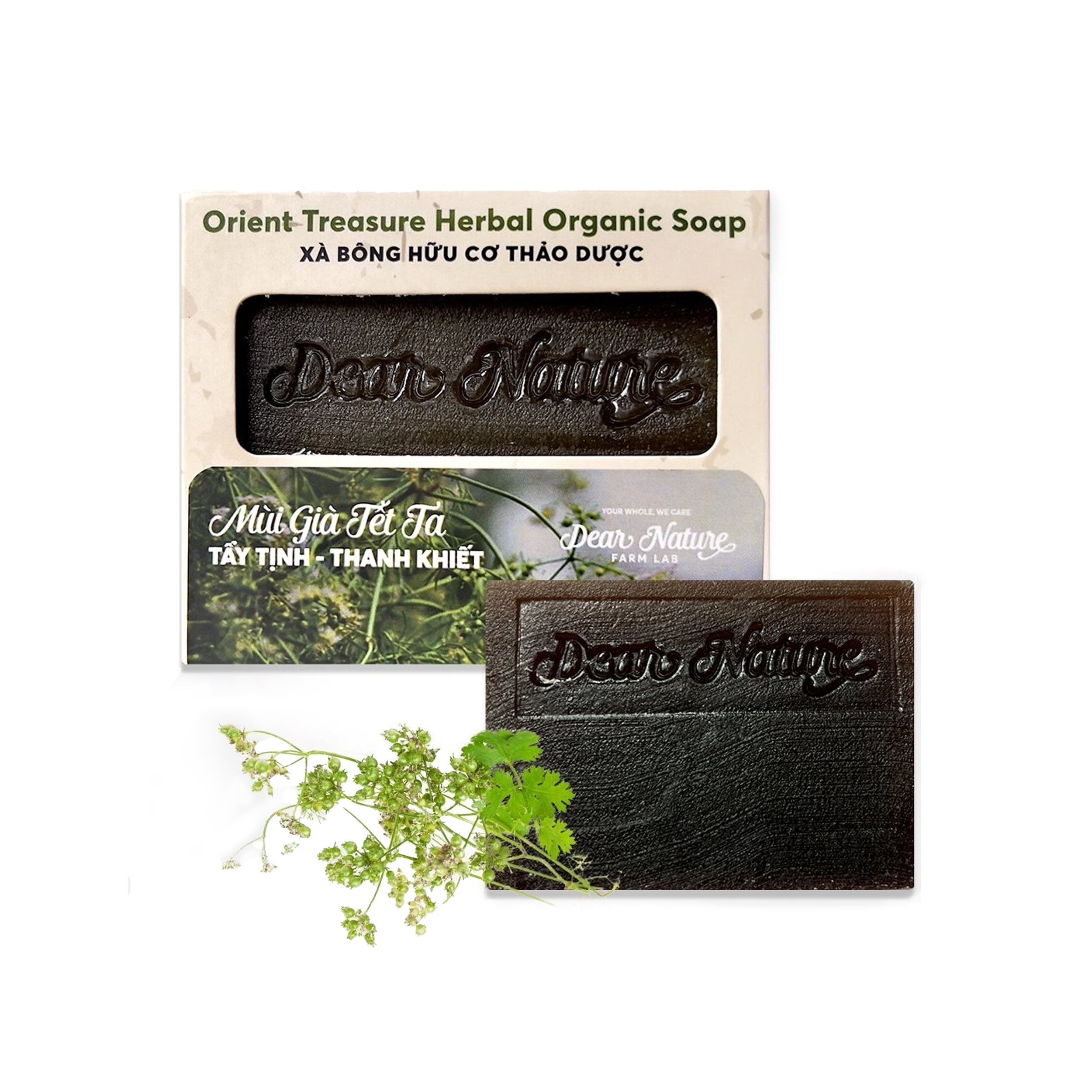 Dear Nature Orient Treasure Organic Soap Tet Scent Herbal 100g – handmade natural soap with coriander essential oil, moringa, and green tea for refreshing skin care