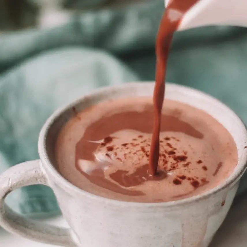 Villa Real Mexican Hot Chocolate Variety Gift Set