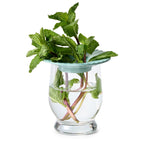Eco-friendly reusable produce storage solution