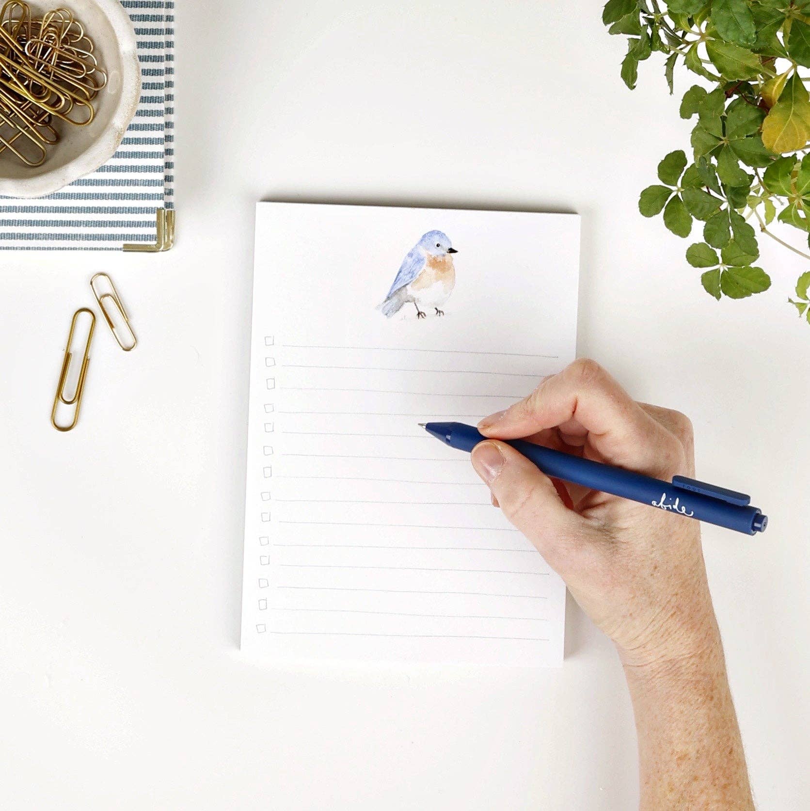 Emily Lex Bluebird checklist notepad Writing