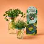 Herb storage container designed to keep greens fresh longer