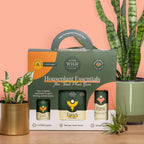 Plant care kit with fertilizer root booster and neem spray