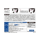 Individual Kowa protective face mask