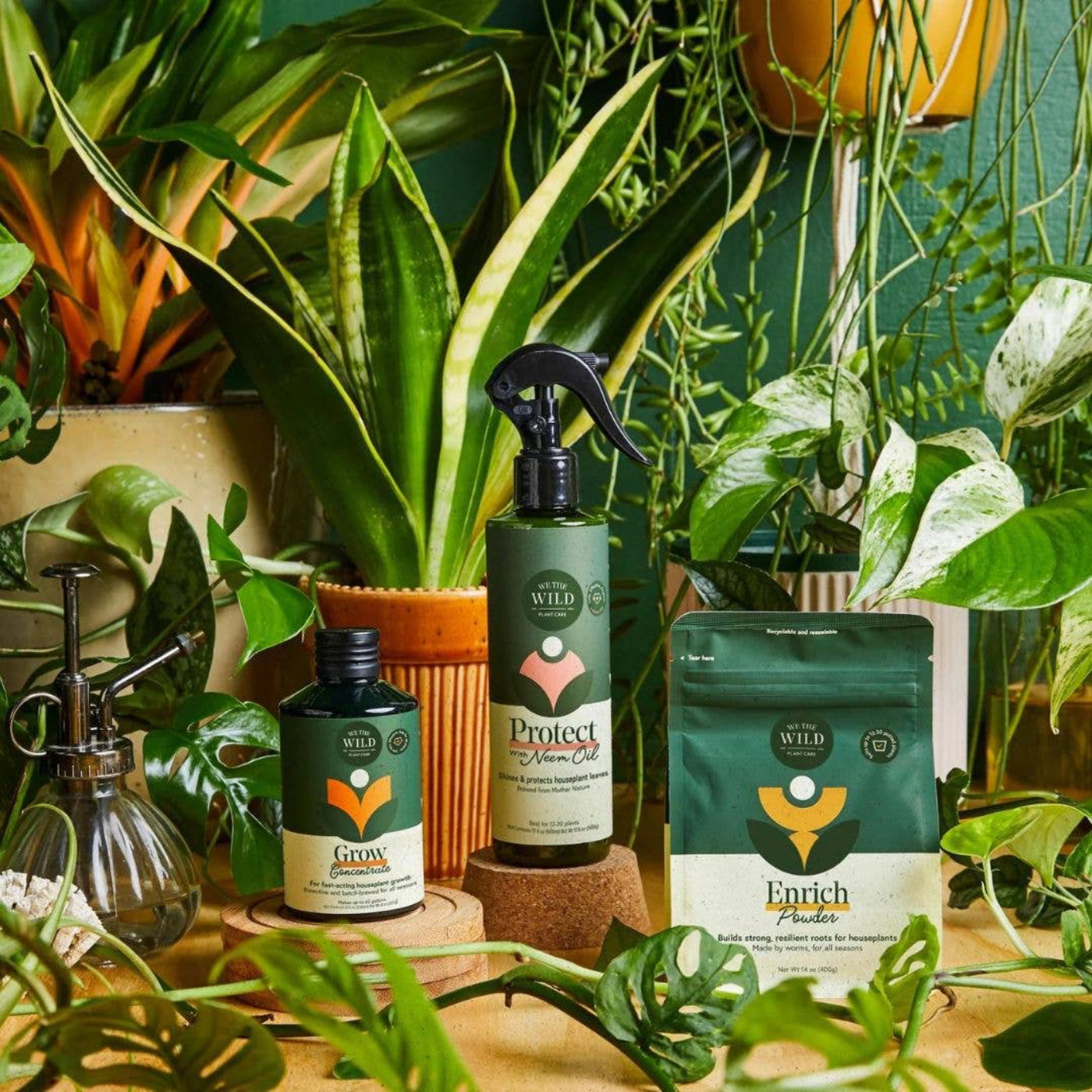 Beginner plant care kit for indoor plants
