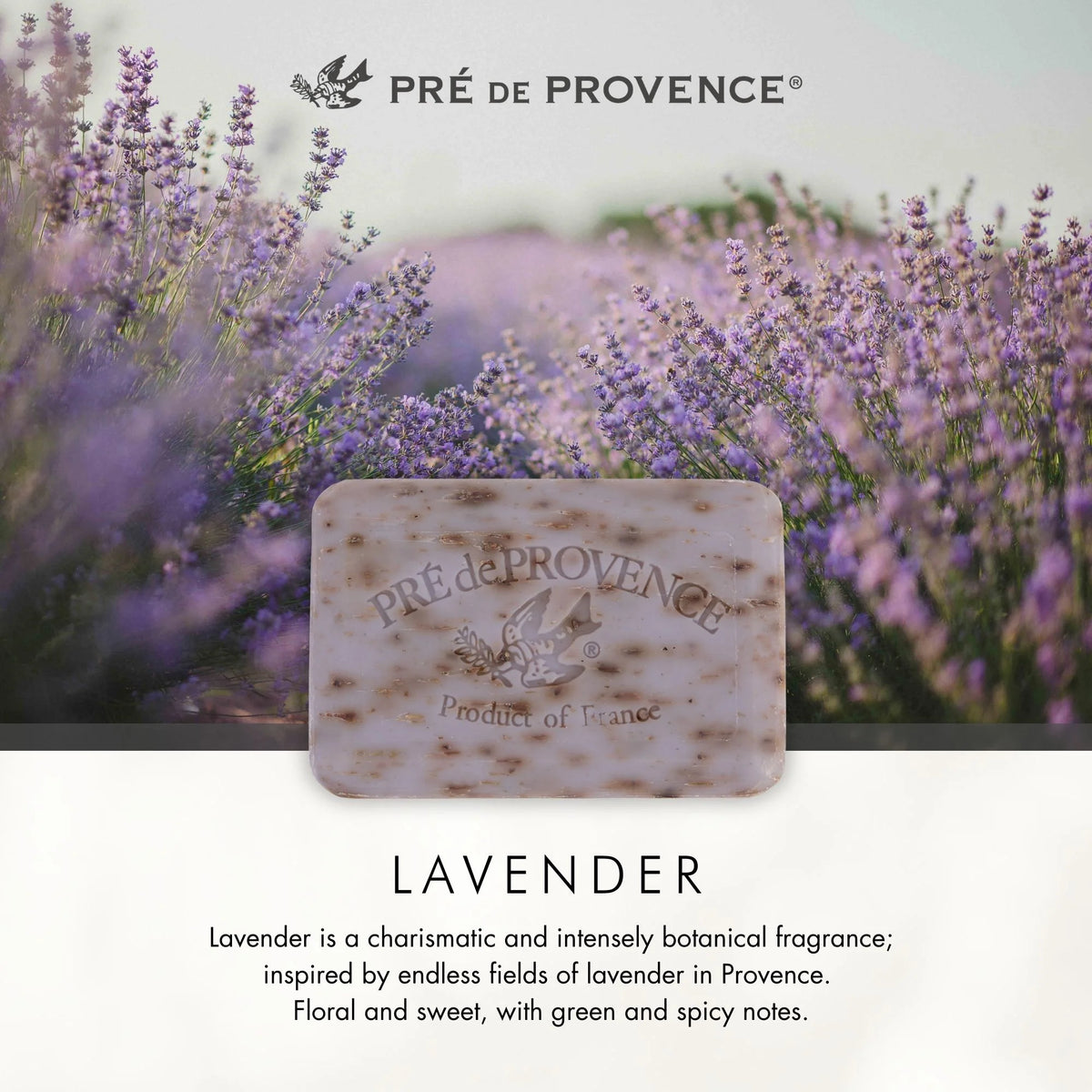 Pré de Provence Lavender Soap inspired by Provence
