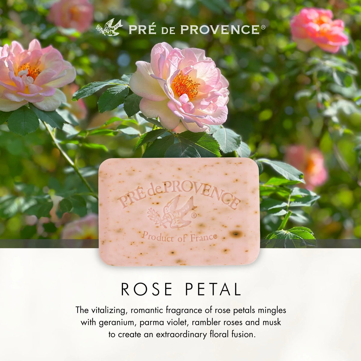 Pré de Provence rose petal Soap inspired by Provence