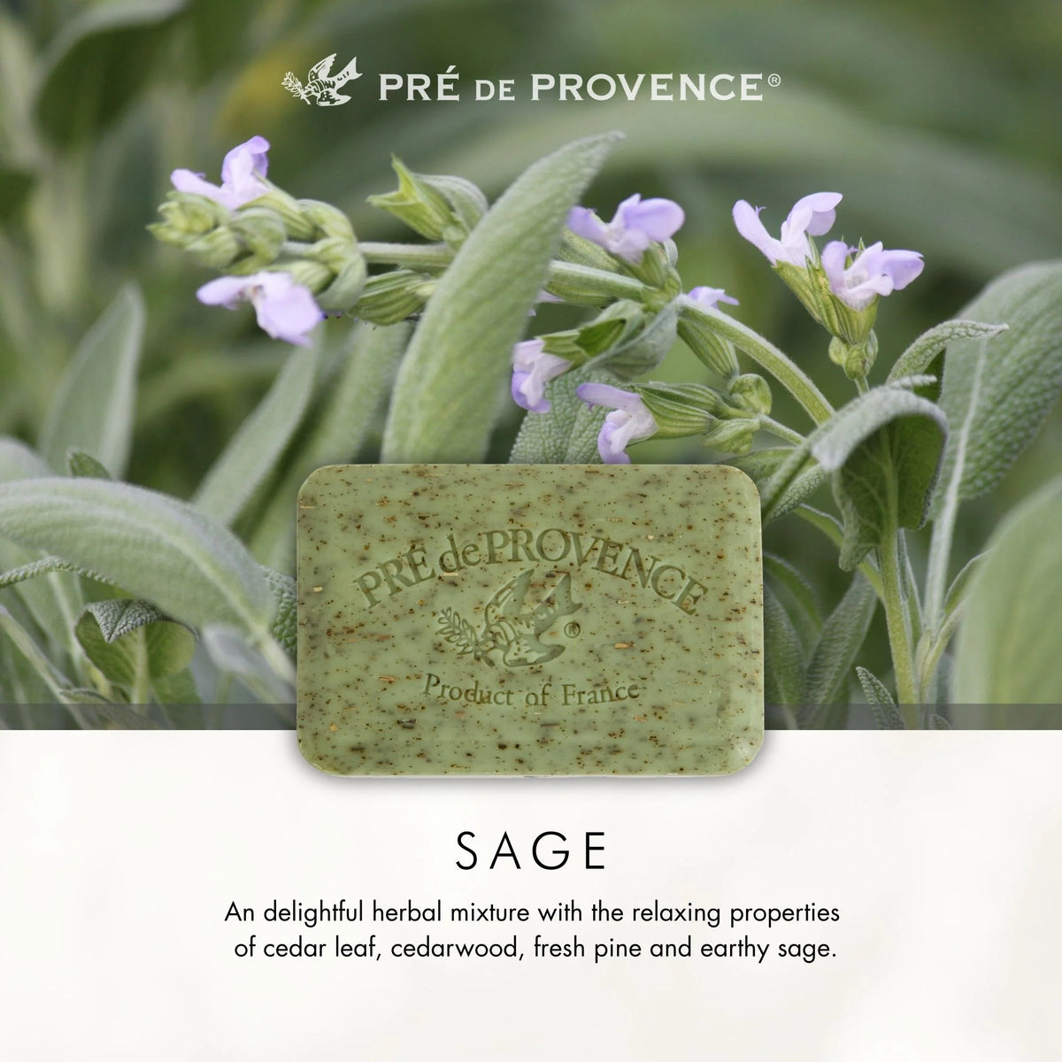 Pré de Provence sage Soap inspired by Provence