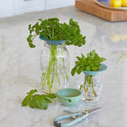 Produce keeper set of 2 for extending herb and vegetable freshness