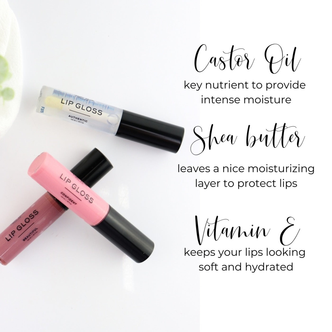 Taylor Made Organics lip gloss confident soft pink hydrating gloss