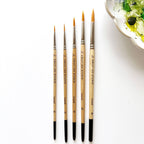 Watercolor brush set for beginners and artists