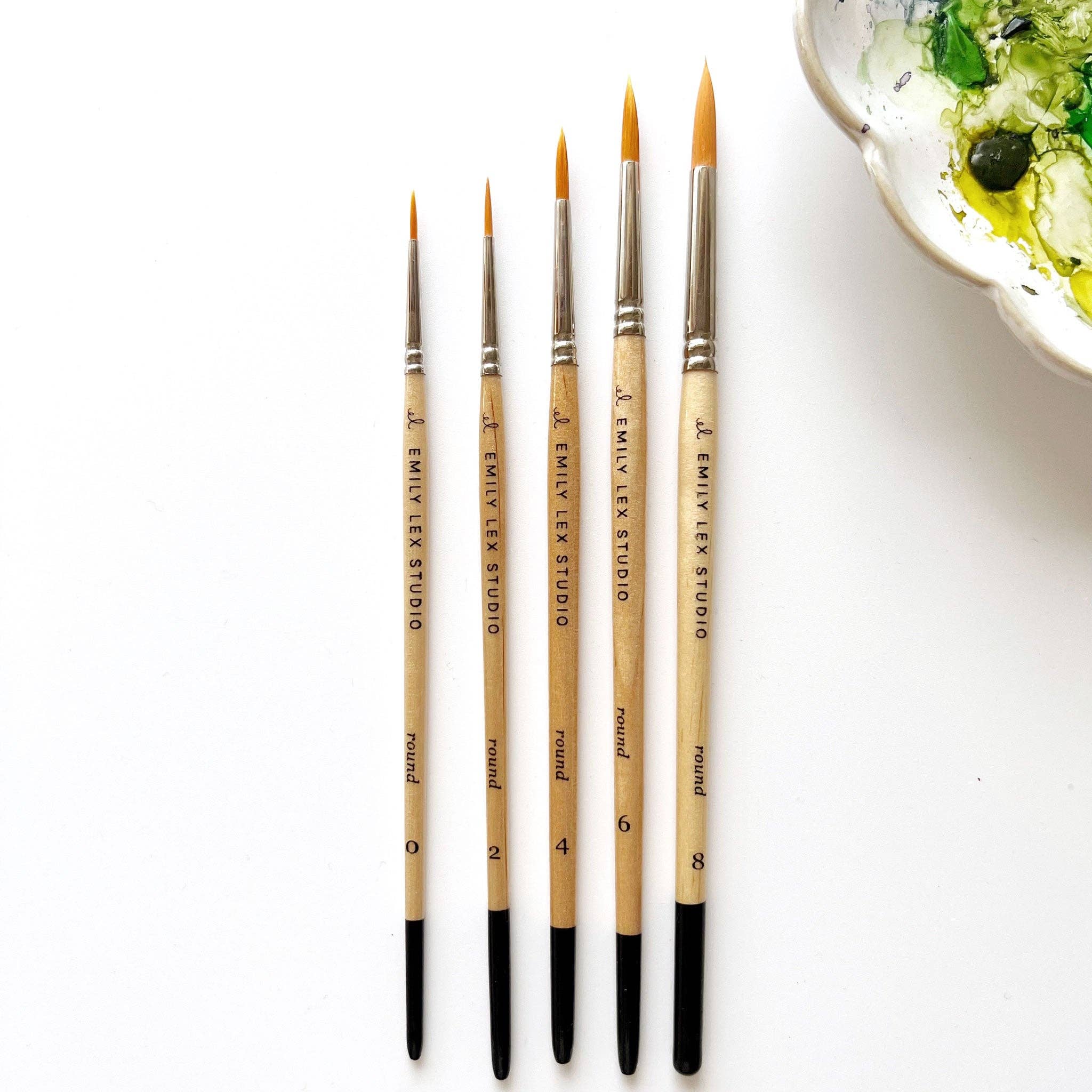 Watercolor brush set for beginners and artists