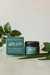 Renu Night Cream with Niacinimide & Rosehip Seed Oil