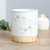 Dragonfly Matte Ceramic Oil Burner / Wax Warmer