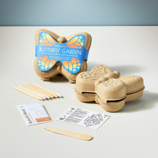 Curious Critters - Butterfly Garden Activity Kit